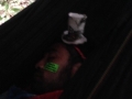10570312_10205255856342967_8891694429951027615_n.jpg